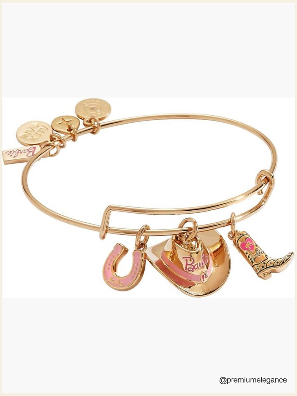 Expandable Gold Bangle Bracelet Set with Western Charms